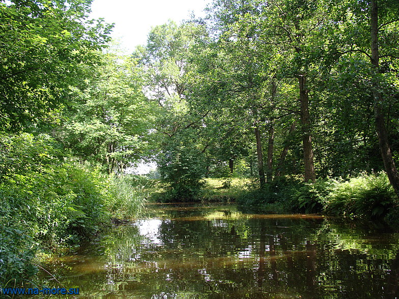 На заброшенных каналах парка Дубки в Сестрорецке.