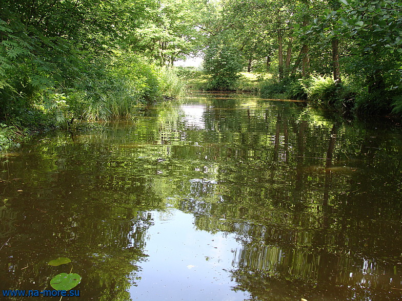 На заброшенных каналах парка Дубки в Сестрорецке.